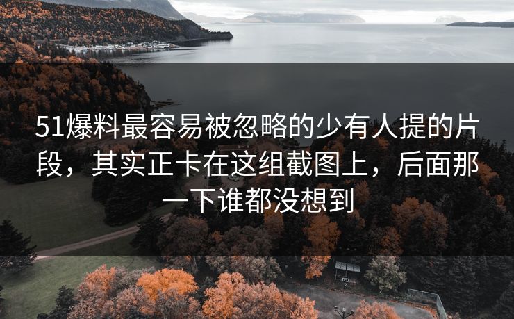 51爆料最容易被忽略的少有人提的片段，其实正卡在这组截图上，后面那一下谁都没想到