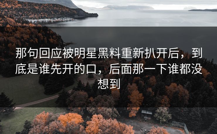 那句回应被明星黑料重新扒开后，到底是谁先开的口，后面那一下谁都没想到