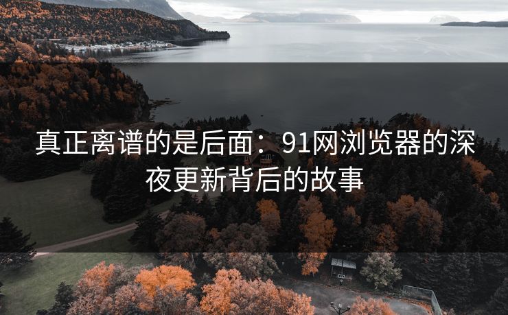 真正离谱的是后面：91网浏览器的深夜更新背后的故事