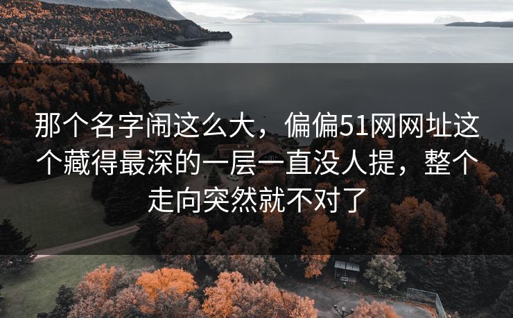 那个名字闹这么大,偏偏51网网址这个藏得最深的一层一直没人提,整个走向突然就不对了 那个名字闹这么大,偏偏51网网址这个藏得最深的一层一直没人提,整个走向突然就不对了