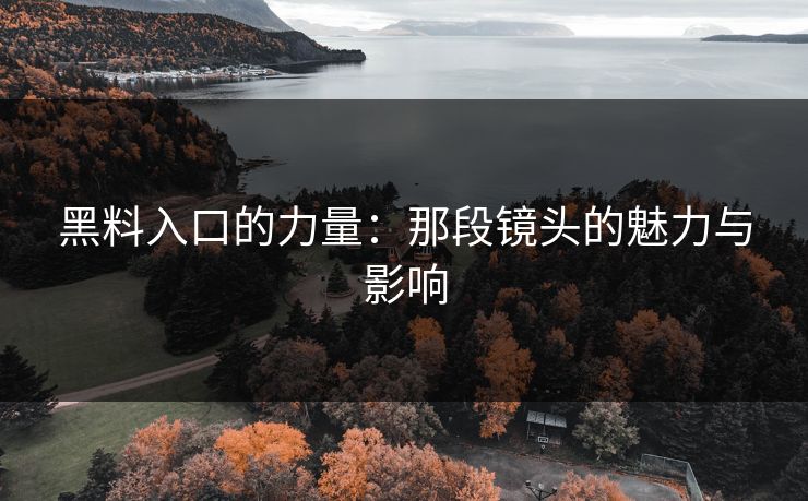 黑料入口的力量：那段镜头的魅力与影响