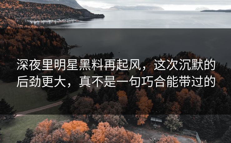 深夜里明星黑料再起风,这次沉默的后劲更大,真不是一句巧合能带过的 深夜里明星黑料再起风,这次沉默的后劲更大,真不是一句巧合能带过的