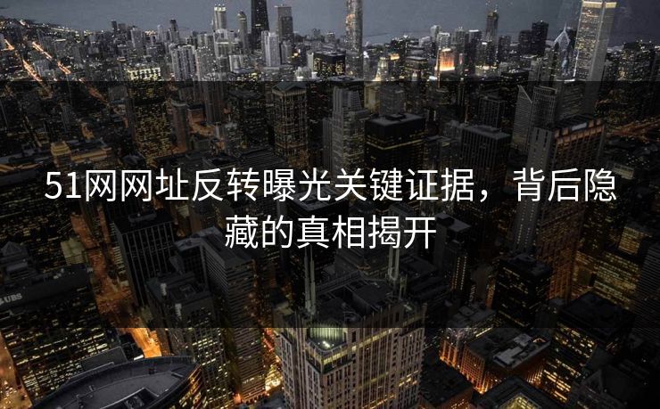 51网网址反转曝光关键证据，背后隐藏的真相揭开